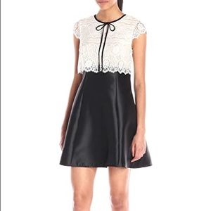 ABS by Allen Schwartz Lace Taffeta dress